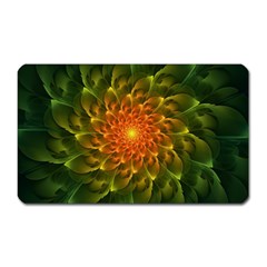 Beautiful Orange-green Desert Cactus Fractalspiral Magnet (rectangular) by jayaprime