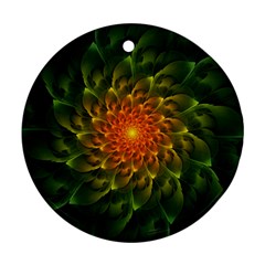 Beautiful Orange-green Desert Cactus Fractalspiral Round Ornament (two Sides) by jayaprime