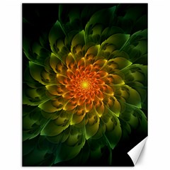 Beautiful Orange-green Desert Cactus Fractalspiral Canvas 12  X 16   by jayaprime