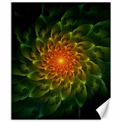 Beautiful Orange-green Desert Cactus Fractalspiral Canvas 20  X 24   by jayaprime