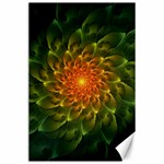 Beautiful Orange-Green Desert Cactus Fractalspiral Canvas 24  x 36  23.35 x34.74  Canvas - 1