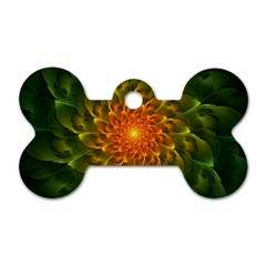 Beautiful Orange-green Desert Cactus Fractalspiral Dog Tag Bone (one Side) by jayaprime