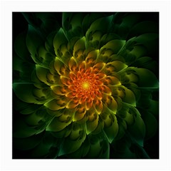 Beautiful Orange-green Desert Cactus Fractalspiral Medium Glasses Cloth (2-side) by jayaprime