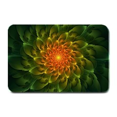 Beautiful Orange-green Desert Cactus Fractalspiral Plate Mats by jayaprime