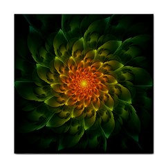 Beautiful Orange-green Desert Cactus Fractalspiral Face Towel by jayaprime