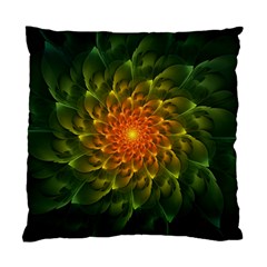 Beautiful Orange-green Desert Cactus Fractalspiral Standard Cushion Case (one Side) by jayaprime