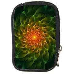 Beautiful Orange-green Desert Cactus Fractalspiral Compact Camera Cases by jayaprime