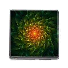 Beautiful Orange-green Desert Cactus Fractalspiral Memory Card Reader (square) by jayaprime