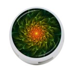 Beautiful Orange-Green Desert Cactus Fractalspiral 4-Port USB Hub (Two Sides)  Front