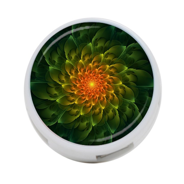 Beautiful Orange-Green Desert Cactus Fractalspiral 4-Port USB Hub (Two Sides) 