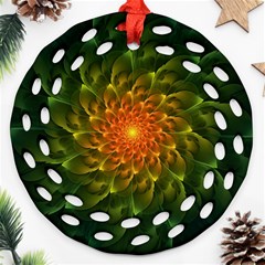 Beautiful Orange-green Desert Cactus Fractalspiral Ornament (round Filigree) by jayaprime