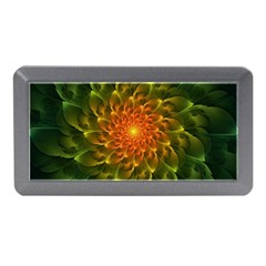 Beautiful Orange-green Desert Cactus Fractalspiral Memory Card Reader (mini) by jayaprime