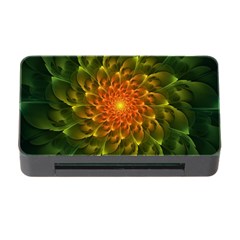 Beautiful Orange-green Desert Cactus Fractalspiral Memory Card Reader With Cf by jayaprime