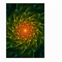 Beautiful Orange-green Desert Cactus Fractalspiral Large Garden Flag (two Sides) by jayaprime