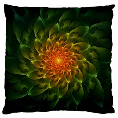 Beautiful Orange-green Desert Cactus Fractalspiral Standard Flano Cushion Case (two Sides) by jayaprime