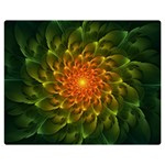 Beautiful Orange-Green Desert Cactus Fractalspiral Double Sided Flano Blanket (Medium)  60 x50  Blanket Front