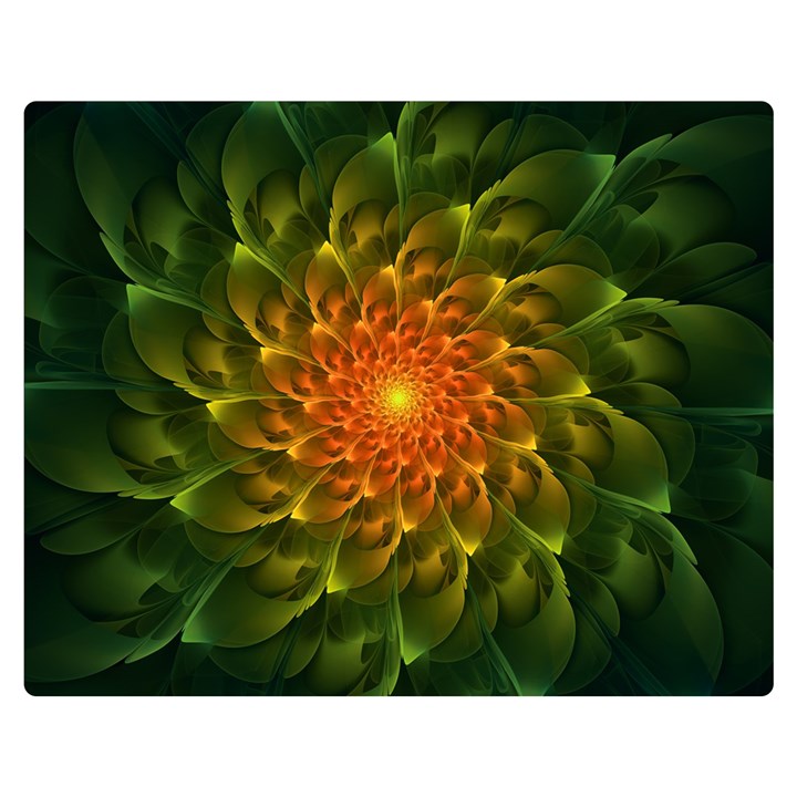 Beautiful Orange-Green Desert Cactus Fractalspiral Double Sided Flano Blanket (Medium) 