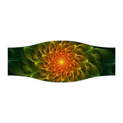 Beautiful Orange-green Desert Cactus Fractalspiral Stretchable Headband by jayaprime