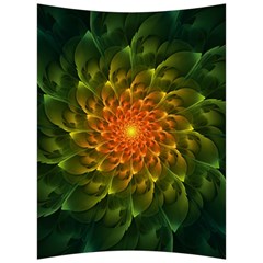 Beautiful Orange-green Desert Cactus Fractalspiral Back Support Cushion by jayaprime