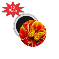 Arrangement Butterfly Aesthetics Orange Background 1.75  Magnets (10 pack) 