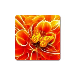 Arrangement Butterfly Aesthetics Orange Background Square Magnet