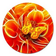 Arrangement Butterfly Aesthetics Orange Background Magnet 5  (round) by Celenk