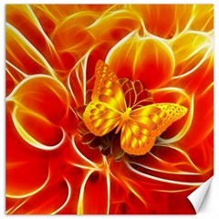 Arrangement Butterfly Aesthetics Orange Background Canvas 12  x 12  