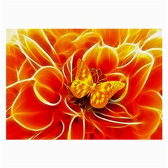 Arrangement Butterfly Aesthetics Orange Background Large Glasses Cloth