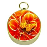 Arrangement Butterfly Aesthetics Orange Background Gold Compasses Front