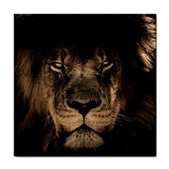 African Lion Mane Close Eyes Tile Coasters by Celenk