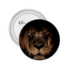 African Lion Mane Close Eyes 2 25  Buttons by Celenk