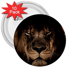 African Lion Mane Close Eyes 3  Buttons (10 Pack)  by Celenk