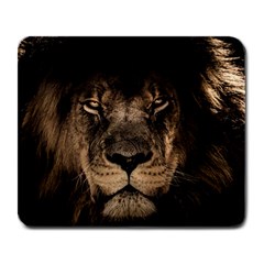 African Lion Mane Close Eyes Large Mousepads by Celenk