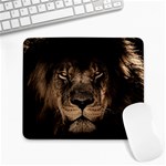 African Lion Mane Close Eyes Large Mousepads Front