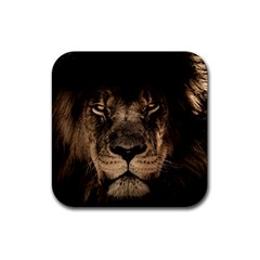 African Lion Mane Close Eyes Rubber Coaster (square)  by Celenk