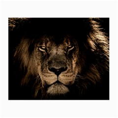 African Lion Mane Close Eyes Small Glasses Cloth by Celenk