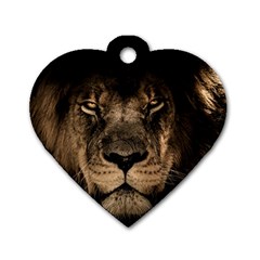 African Lion Mane Close Eyes Dog Tag Heart (one Side) by Celenk