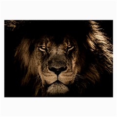 African Lion Mane Close Eyes Large Glasses Cloth (2-side) by Celenk