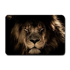 African Lion Mane Close Eyes Small Doormat  by Celenk