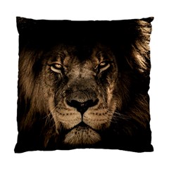 African Lion Mane Close Eyes Standard Cushion Case (two Sides) by Celenk