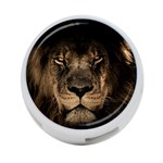 African Lion Mane Close Eyes 4-Port USB Hub (Two Sides)  Front