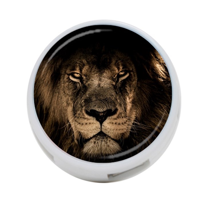 African Lion Mane Close Eyes 4-Port USB Hub (Two Sides) 