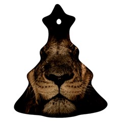 African Lion Mane Close Eyes Christmas Tree Ornament (two Sides) by Celenk