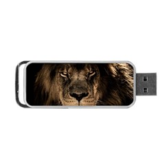 African Lion Mane Close Eyes Portable Usb Flash (one Side) by Celenk