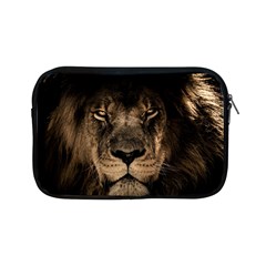 African Lion Mane Close Eyes Apple Ipad Mini Zipper Cases by Celenk