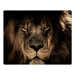 African Lion Mane Close Eyes Double Sided Flano Blanket (large)  by Celenk