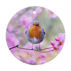 Spring Bird Bird Spring Robin Ornament (round) by Celenk