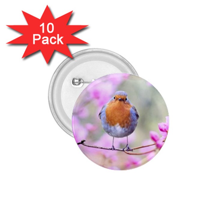 Spring Bird Bird Spring Robin 1.75  Buttons (10 pack)