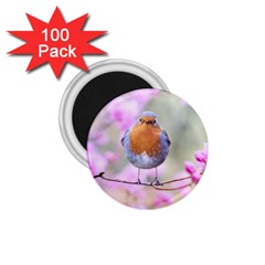 Spring Bird Bird Spring Robin 1 75  Magnets (100 Pack)  by Celenk