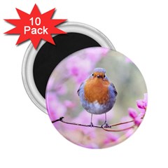 Spring Bird Bird Spring Robin 2 25  Magnets (10 Pack)  by Celenk